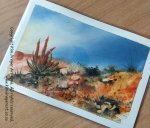 Karoo Vanguard